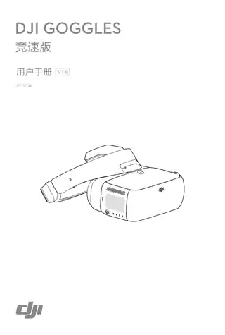 DJI大疆DJI Goggles RE
